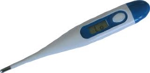thermomètre digital rigide (DIV)