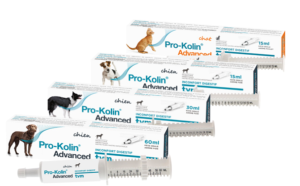 pro-kolin advanced chien 60ml (TVM)