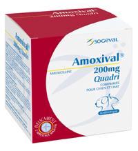 Amoxival 200mg 200cp (CEVA)