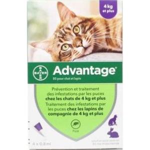advantage chat 80 4 pipettes (BAYER)