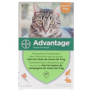 advantage chat 40 4 pipettes (BAYER)