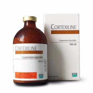 Cortexiline 100ml (VETOQUINOL)